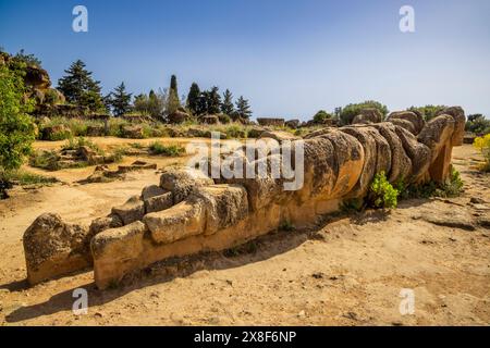 Ein Telamon aus dem Tempel des Olympischen Zeus im Olympeionfeld, Tal der Tempel, Agrigento, Sizilien Stockfoto