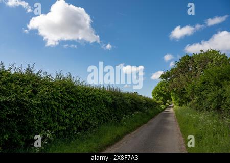 Red House Farm Lane Bawdsey Suffolk Stockfoto