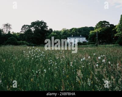 Blumenwiese und Haus im Colby Woodland Garden National Trust Waldgarten in einem abgeschiedenen Tal, Amroth in Pembrokeshire, Wales, Großbritannien Stockfoto