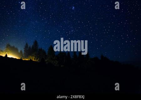 Unzählige funkelnde Sterne am Nachthimmel über dem Wald Stockfoto