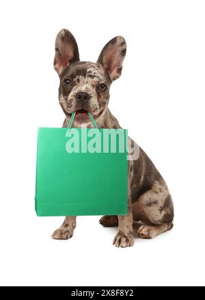 Niedlicher Hund mit Einkaufstasche auf weißem Hintergrund Stockfoto