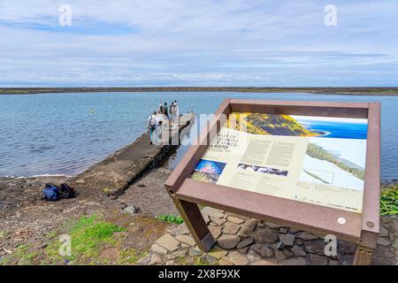 Ponton in Fajãs de Santo Cristo auf dem Weg in die Lagune. São Jorge-Insel Azoren-Portugal Stockfoto