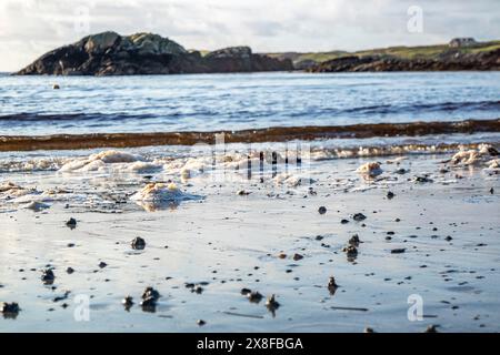 Blasen Sie Lugworm Poo an der Westküste Irlands - Arenicola Marina. Stockfoto