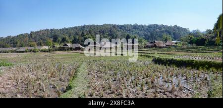 Thailand, Chiang Mai, Baan Tong Luang, Karen-Dorf, steigen Feld Stockfoto