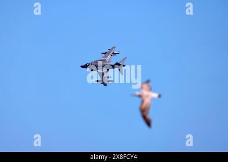 Ein AV-8B Harrier-Kampfflugzeug der spanischen Marine fliegt über der Bucht von Gijon, Asturien. Stockfoto