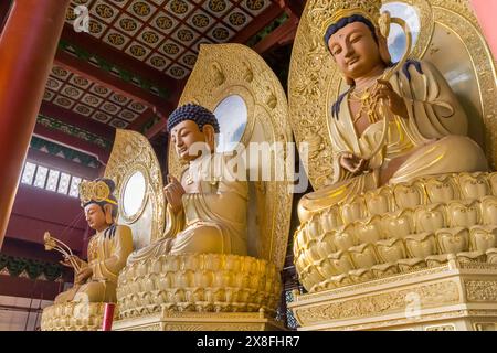 Drei goldene Statuen im historischen Lingyin Tempel in Hangzhou, China Stockfoto