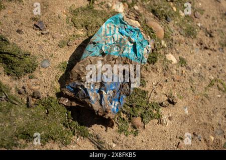 Kaninchen finden in Maldon in Essex knusprige Pakete und andere Plastikmüll aus den 1970er Jahren. Quelle: David Johnson/Alamy Live News Stockfoto