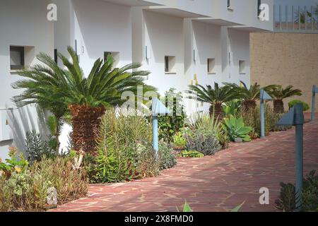 Vorgarten Landschaftsgestaltung mit Trockenheit toleranten Pflanzen wie Sago Palme (Cycas revoluta) in Teneriffa (Spanien) Stockfoto