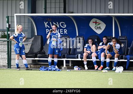 Oud Heverlee, Belgien. Mai 2024. Gent sieht nach einem Frauenfußballspiel zwischen Oud Heverlee Leuven und AA Gent Ladies am 10. Und letzten Spieltag der Play-offs in der Saison 2023–2024 der belgischen Lotto Womens Super League am Samstag, 25. Mai 2024 in Oud Heverlee, Belgien, aus. Quelle: Sportpix/Alamy Live News Stockfoto