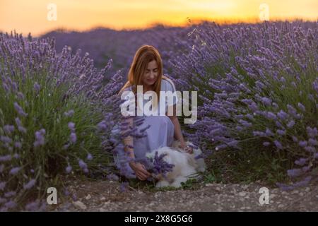 Eine Frau sitzt auf einem Feld aus Lavendelblumen mit einem Hund an ihrer Seite Stockfoto