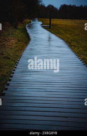 Moor, Moorweg, Weg, Boardwalk, Black Moor, nass, Regen, Moor Stockfoto