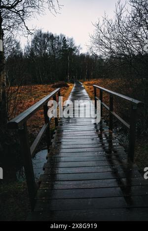 Moor, Moorweg, Weg, Boardwalk, Black Moor, nass, Regen, Moor Stockfoto