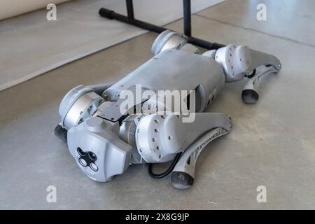 Grauer Militärroboterhund bei einer Demonstration Stockfoto