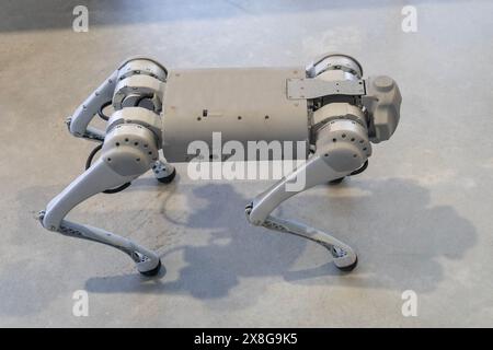 Grauer Militärroboterhund bei einer Demonstration Stockfoto