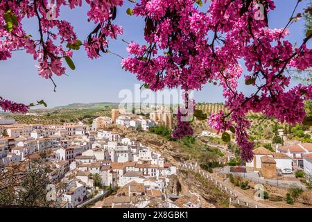 Blick auf die Skyline durch blühende Aprikosenbäume mit den einzigartigen Pueblos blanco von Setenil de las Bodegas, Spanien. Die Bewohner des kleinen Dorfes Setenil leben seit dem neolithikum in Höhlenhäusern. Stockfoto