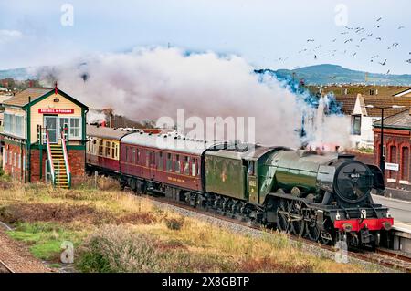 Fliegende Scotsman-Dampfeisenbahn YNS Mon Express Abergele und Pensarn Station. Dampflok Stockfoto