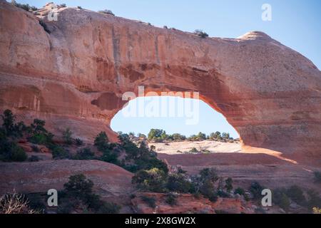 Wilson Arch liegt direkt neben dem U.S. Highway 191 südlich von Moab in Utah. Stockfoto