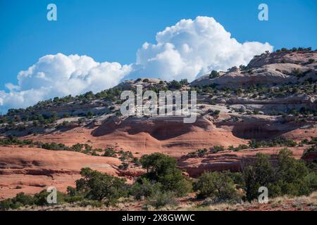 Wilson Arch liegt direkt neben dem U.S. Highway 191 südlich von Moab in Utah. Stockfoto