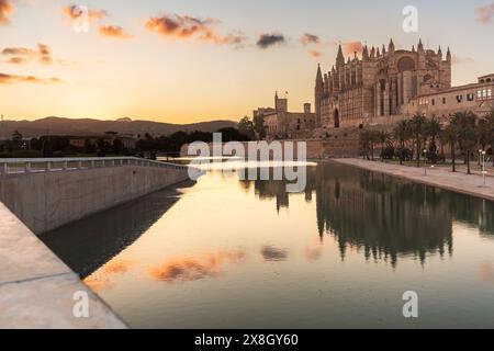 Malerischer Blick auf die Kathedrale in Palma de Mallorca, Sonnenuntergang, Reflexionen im Wasser Stockfoto