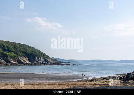 Maenporth Beach in der Nähe von Falmouth, South Cornwall Stockfoto