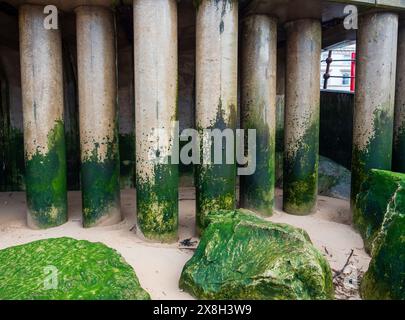 Moosbedeckte Betonsäulen am Sandstrand, die Natur und menschliche Konstruktion in einer Küstenlandschaft veranschaulichen Stockfoto