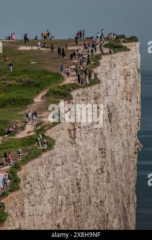 Birling Gap, Eastbourne, East Sussex, Großbritannien. Mai 2024. Besucher drängen sich zu der herrlichen Stätte auf dem South Downs Way, viele treffen sich auf den Klippen oberhalb von Birling Gap, einige scheinen sich der Fragilität und Unterschneidung der Kreide nicht bewusst zu sein. Warnschilder sind sehr spärlich und wurden seit einigen Jahren nicht mehr aktualisiert. Ein Sicherheitsseil vom Beachy Head zum Leuchtturm von Belle Tout, das effektiv zu sein scheint, geht nicht weiter bis nach Birling Gap. Quelle: David Burr/Alamy Live News Stockfoto