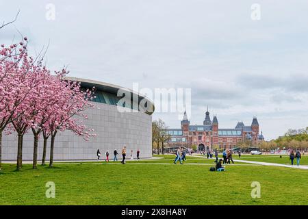 Niederlande, Amsterdam - 10. April 2024: Blühende Kirschbäume im Stadtzentrum von Amsterdam vor dem Hintergrund des Van Gogh-Museums Stockfoto