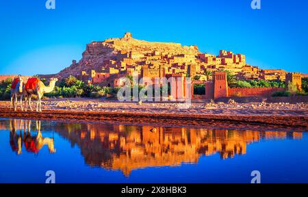 AIT-Benhaddou, Ouarzazate, Marokko: Kamele spazieren am reaver vor dem berühmten ksar aus Lehm- und lehmziegelarchitektur. Nordafrika Stockfoto