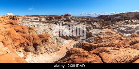 Weißes, lehmiges Sediment, das aus dem nahe gelegenen Schießvisier Butte stammt, bedeckt einen Großteil des roten Sandsteins bei der Kanab-Krötenwanderung in Utah und sorgt so für einen schönen, kontrastreichen Kontrast Stockfoto