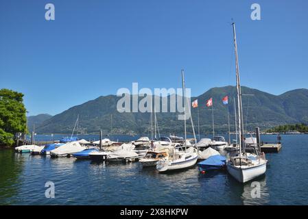 Yachten liegen in Locarno, Schweiz. Stockfoto