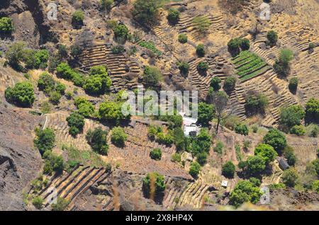 Nachhaltige Landwirtschaft in Trockengebieten: Santo Antao, Cabo Verde Stockfoto