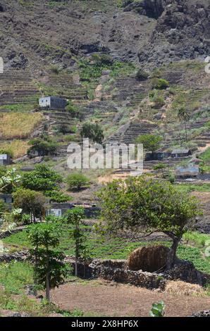 Nachhaltige Landwirtschaft in Trockengebieten: Santo Antao, Cabo Verde Stockfoto