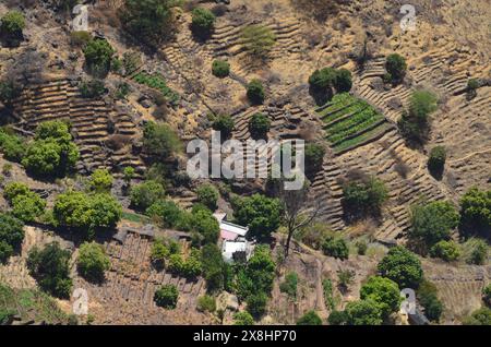 Nachhaltige Landwirtschaft in Trockengebieten: Santo Antao, Cabo Verde Stockfoto