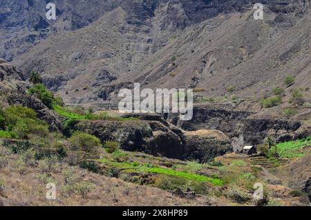 Nachhaltige Landwirtschaft in Trockengebieten: Santo Antao, Cabo Verde Stockfoto