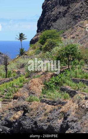 Nachhaltige Landwirtschaft in Trockengebieten: Santo Antao, Cabo Verde Stockfoto