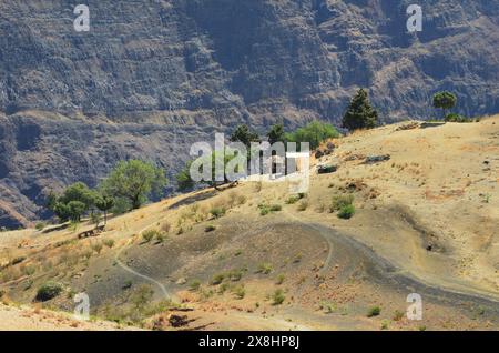 Nachhaltige Landwirtschaft in Trockengebieten: Santo Antao, Cabo Verde Stockfoto