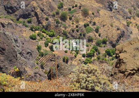 Nachhaltige Landwirtschaft in Trockengebieten: Santo Antao, Cabo Verde Stockfoto