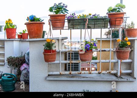 Auf dem Dach eines Gebäudes befinden sich mehrere Topfpflanzen, die der Stadtlandschaft einen Hauch von Grün verleihen. Die Pflanzen sind unterschiedlich groß und Stockfoto
