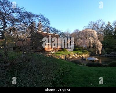 Blühende Bäume blühen im Shofuso, dem japanischen Haus im Fairmount Park in Philadelphia. Stockfoto