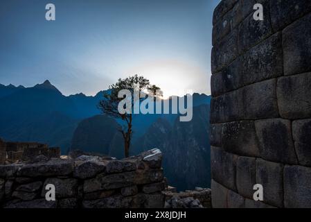 Sonnenaufgang zwischen Bäumen und Inkaruinen mit den Berggipfeln der Anden im Hintergrund in der östlichen Kordillera im Süden Perus Stockfoto