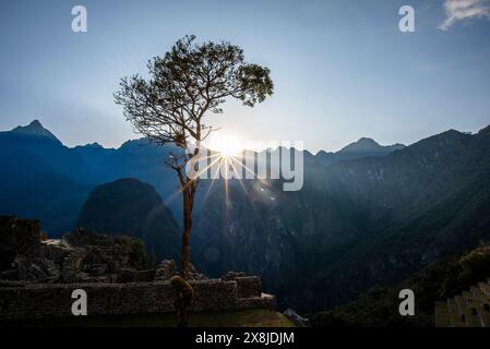 Sonnenaufgang zwischen Bäumen und Inkaruinen mit den Berggipfeln der Anden im Hintergrund in der östlichen Kordillera im Süden Perus Stockfoto