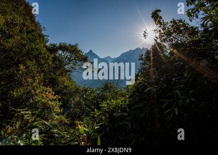 Sonnenaufgang zwischen Bäumen und Inkaruinen mit den Berggipfeln der Anden im Hintergrund in der östlichen Kordillera im Süden Perus Stockfoto