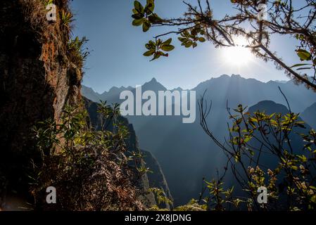 Sonnenaufgang zwischen Bäumen und Inkaruinen mit den Berggipfeln der Anden im Hintergrund in der östlichen Kordillera im Süden Perus Stockfoto