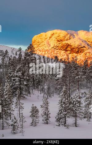 Die ersten Strahlen der Morgensonne erleuchten den schneebedeckten Berggipfel und strahlen ein goldenes Leuchten aus. Der dichte Wald darunter ist von Schnee bedeckt, Captu Stockfoto