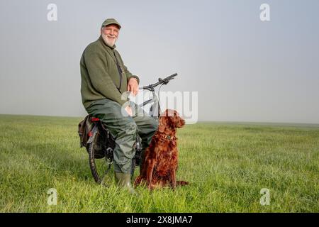 Ein älterer Radfahrer hält am frühen Morgen auf einer grünen Wiese inne. Er sitzt auf dem Gepäckträger, sein irischer Setter vor ihm. Stockfoto