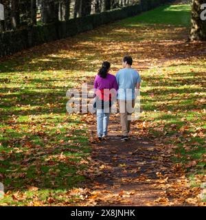 Ein Paar, das Hände hält und durch den Park geht, der mit herbstlichen Blättern bedeckt ist. Auckland. Stockfoto