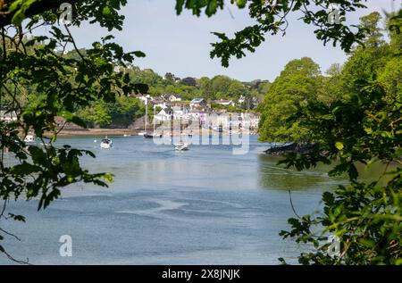 Blick über die Flussmündung und das Tal des Flusses Dart mit Blick über das Wasser zum Dorf Dittisham im Süden von Devon, England, Großbritannien Stockfoto