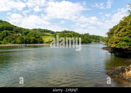 Landschaftsblick Flussmündung und Tal des Flusses Dart mit Blick auf die Landschaft in der Nähe von Dittisham, South Devon, England, Großbritannien Stockfoto