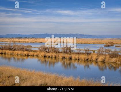 Aussichtspunkt Mirador de Migjorn und Aussicht von diesem Aussichtspunkt zwischen der Insel Buda und der Lagune L'Alfacada im Ebro-Delta (Tarragona, Spanien) Stockfoto