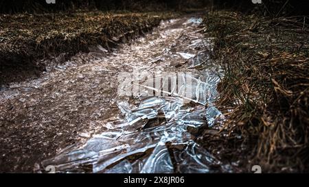 Broken Ice Pieces Auf Der Sandy Road Am Fuße Des Lake Sylvester, Kahurangi National Park Stockfoto